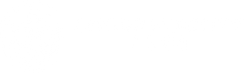 Senior Mobility Plus